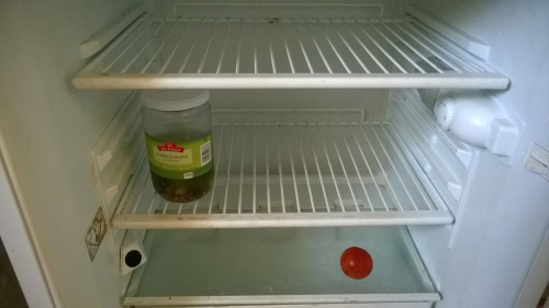My fridge before a shopping trip